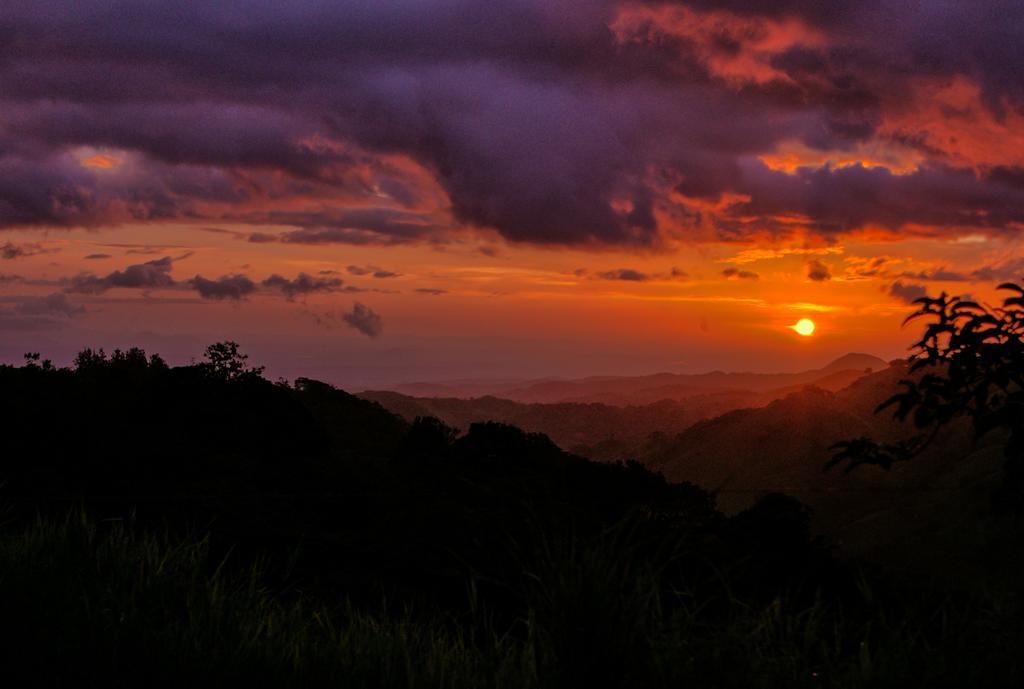 Ficus Sunset Suites Monteverde Exterior photo