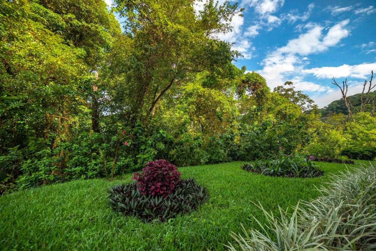 Ficus Sunset Suites Monteverde Exterior photo